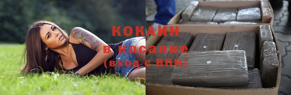 тгк Алзамай