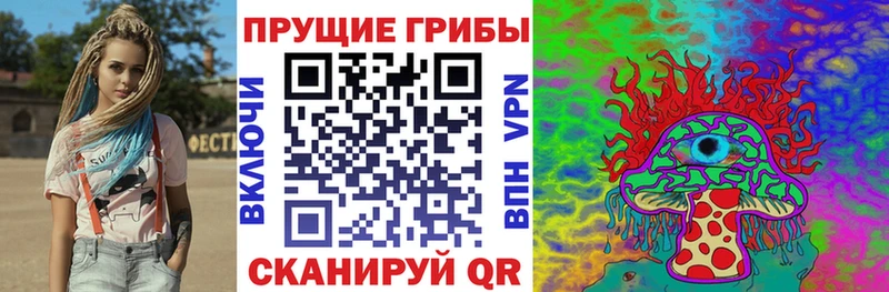 Псилоцибиновые грибы GOLDEN TEACHER  как найти закладки  кракен ссылки  Алупка 